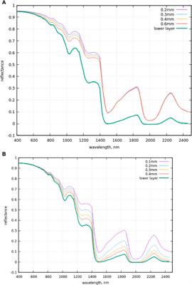 The two-layered radiative transfer model for snow reflectance and its application to remote sensing of the Antarctic snow surface from space